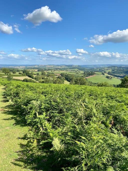 The Mill Stylish Rural Apartment With Beautiful Views Welsh Newton Common Buitenkant foto