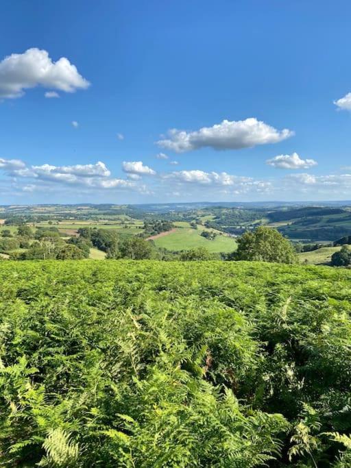 The Mill Stylish Rural Apartment With Beautiful Views Welsh Newton Common Buitenkant foto